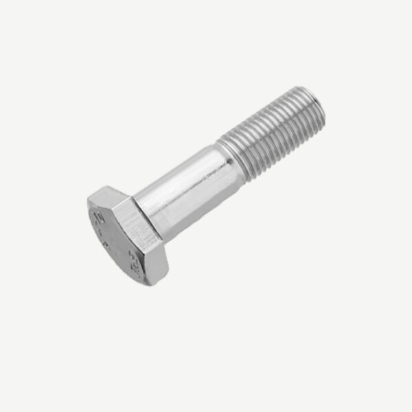 Bolt Hexagon Head Stainless Steel 3/4 X 3" Grade 316